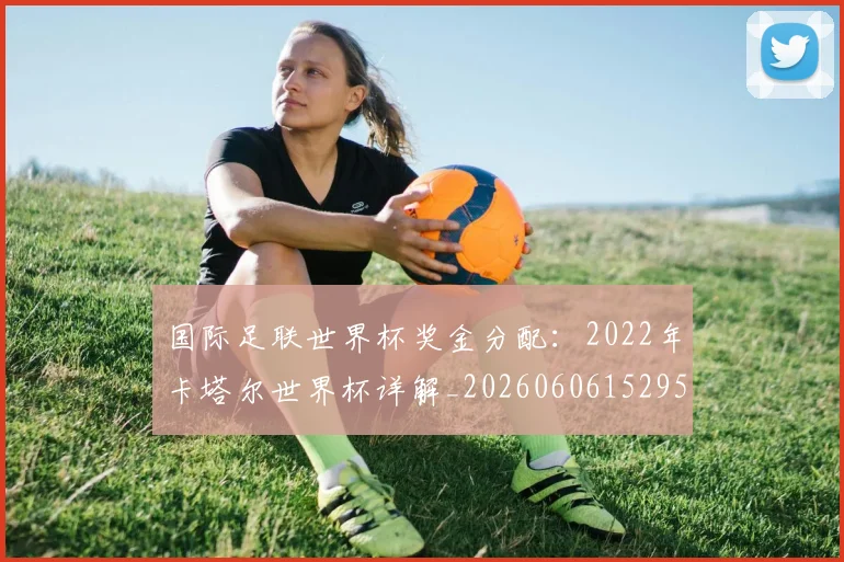 国际足联世界杯奖金分配：2022年卡塔尔世界杯详解_20260606152955